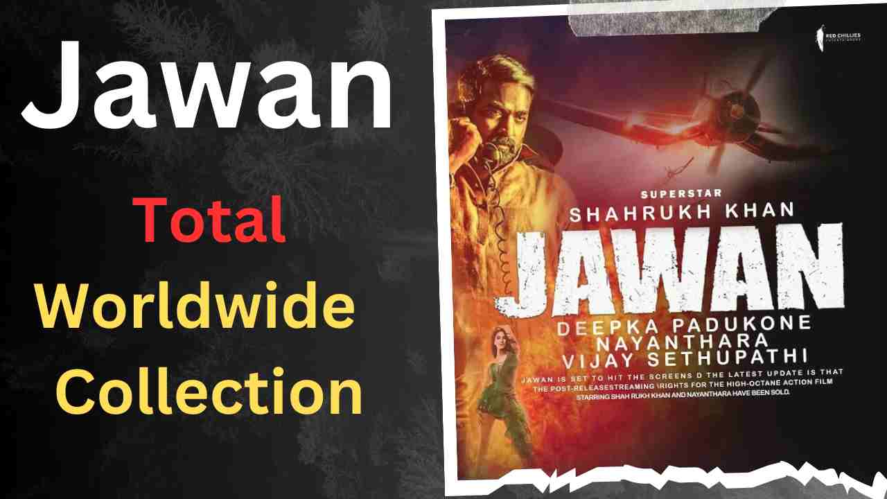 What Is The Total Collection Of Jawan