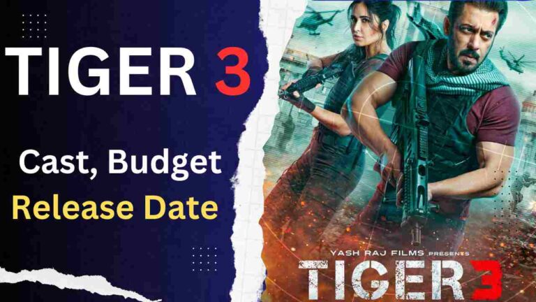 Tiger 3 Movie