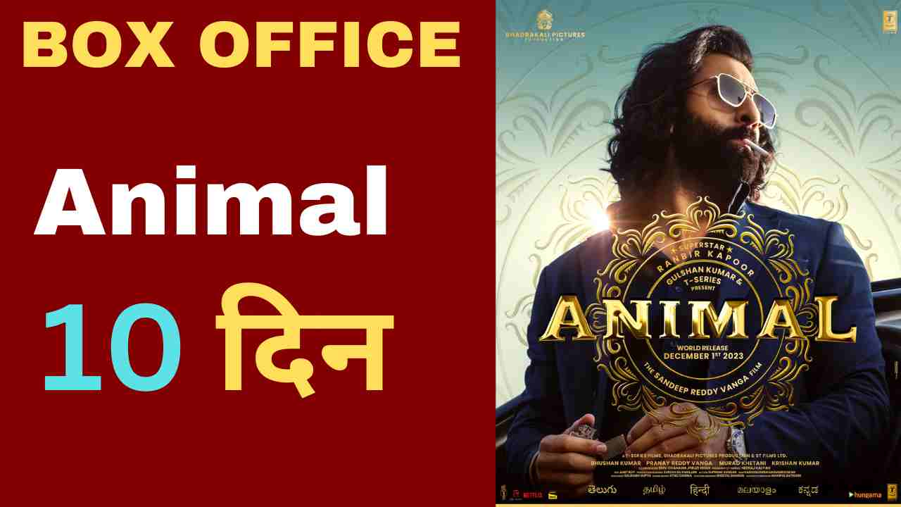 Animal Box Office Collection Day 10