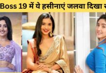 बीग बॉस 19 में ये हसीनाएं जलवा दिखा रही हे। काफी खूबसूरत एक्ट्रेस हैं बिग बॉस 19 की